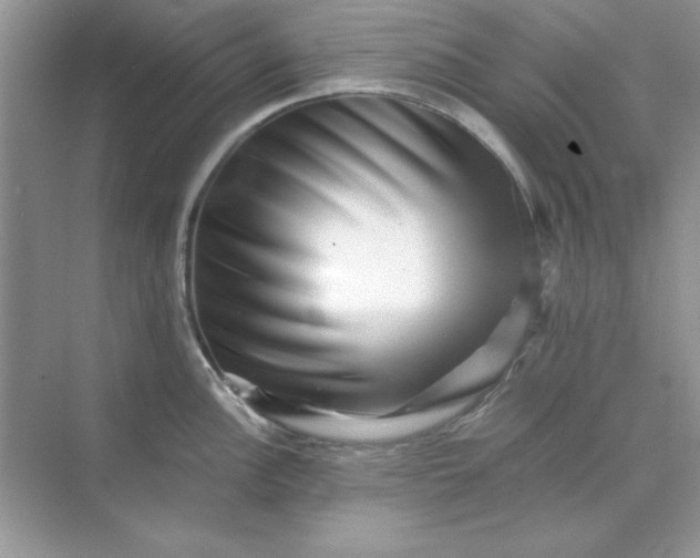 X0000071901148200607212010