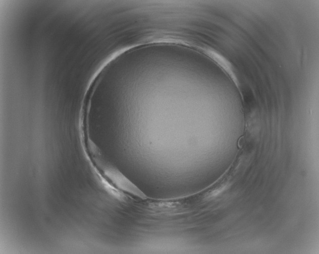 X0000071901149200607212010