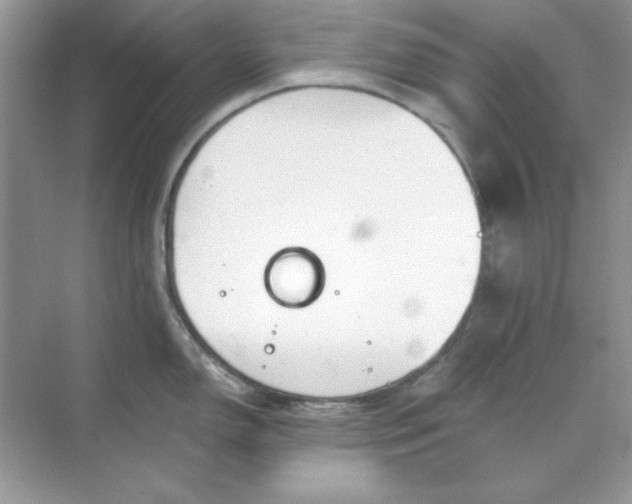 X0000071901150200607212010