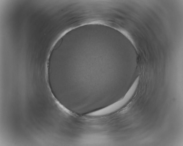 X0000071901151200607212010