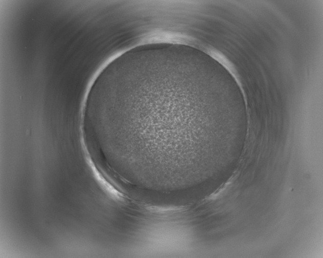 X0000071901152200607212010