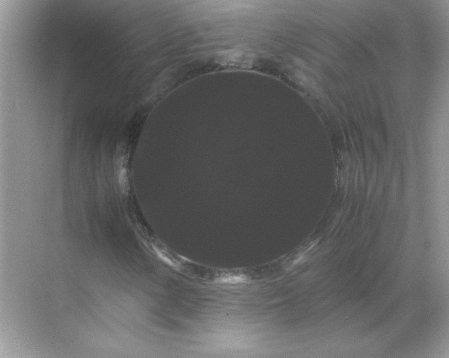 X0000071901154200607212009