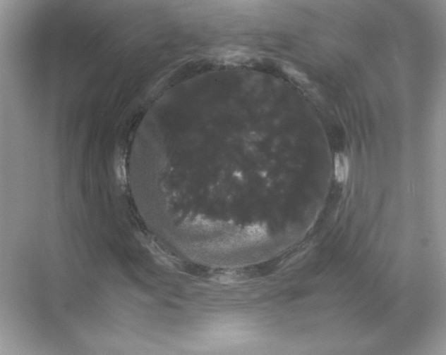 X0000071901155200607212009