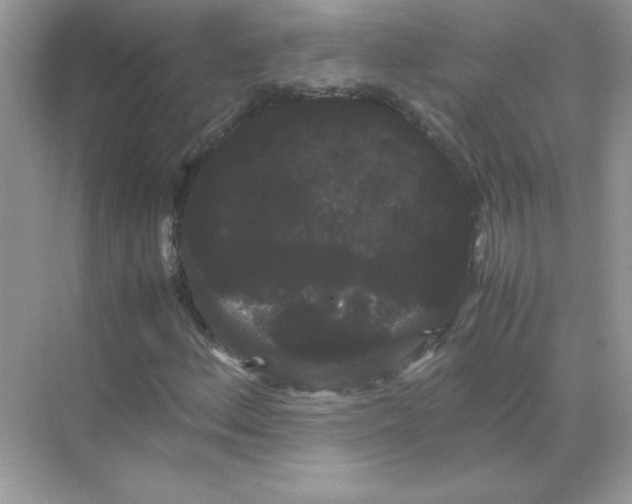 X0000071901156200607212009