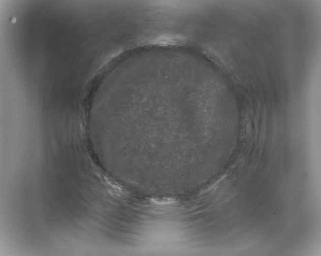 X0000071901158200607212009