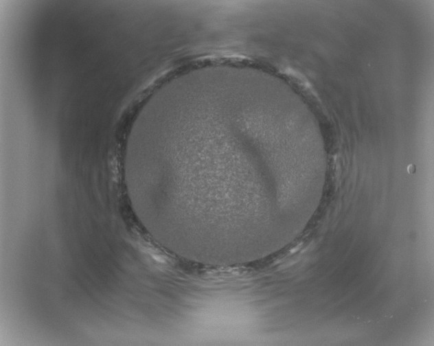 X0000071901159200607212009