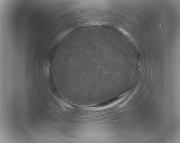 X0000071901161200607212009