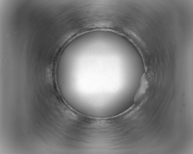 X0000071901162200607212009