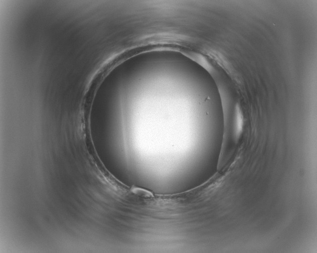 X0000071901164200607212009