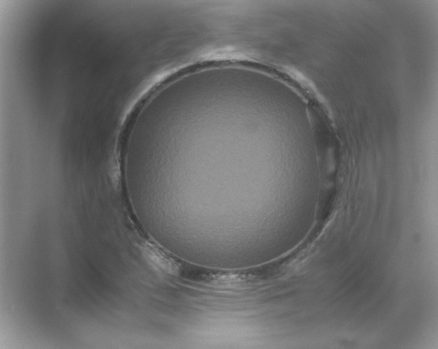 X0000071901167200607212009