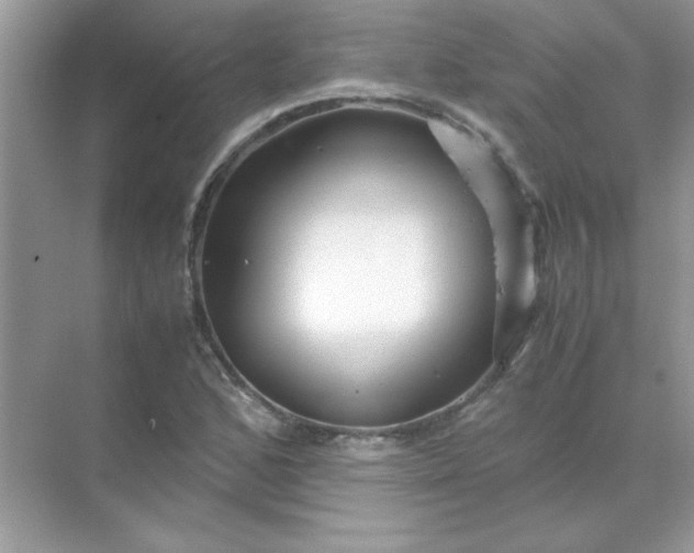 X0000071901168200607212009