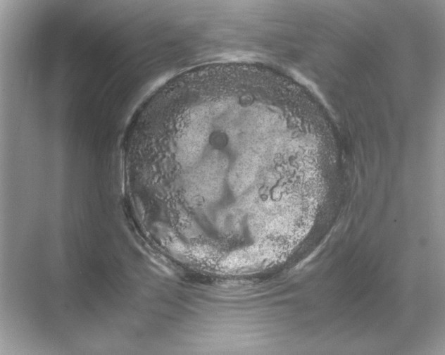 X0000071901171200607212009