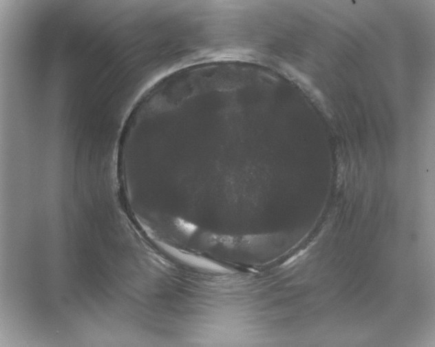 X0000071901174200607212008