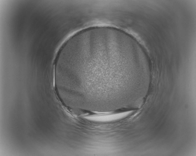 X0000071901175200607212008