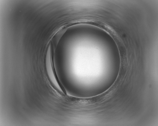 X0000071901177200607212008