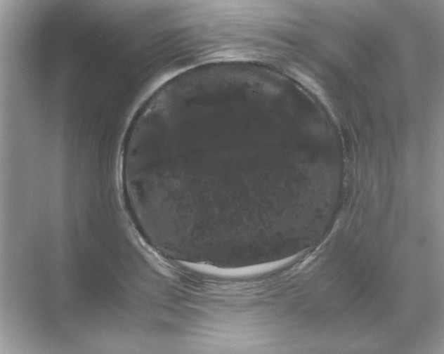 X0000071901179200607212008