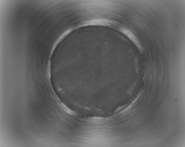 X0000071901180200607212008