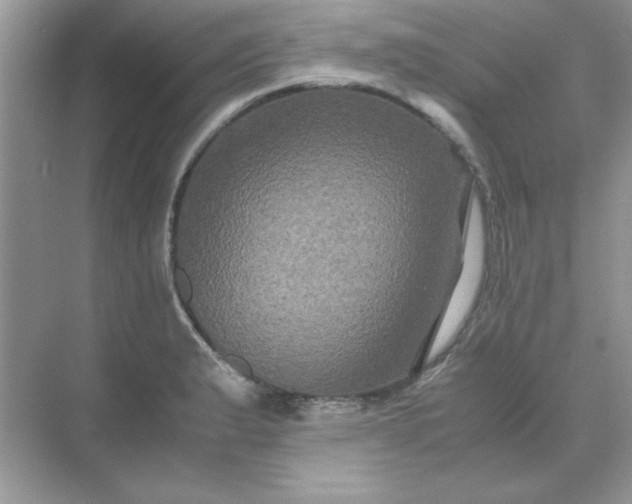 X0000071901183200607212008