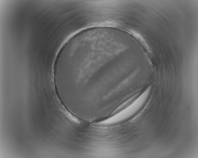 X0000071901184200607212008