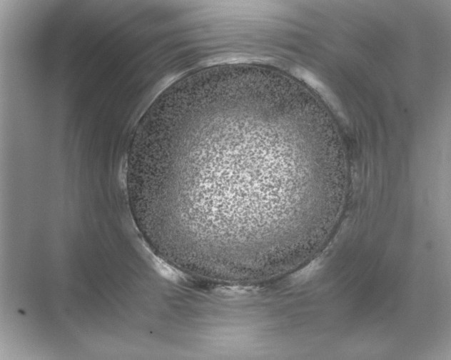 X0000071901185200607212008