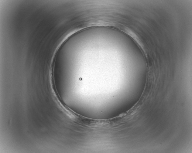 X0000071901187200607212008