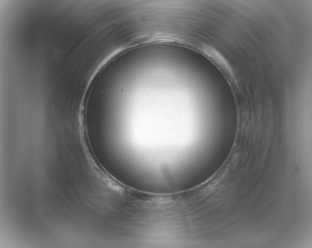 X0000071901190200607212008