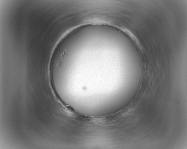 X0000071901191200607212008