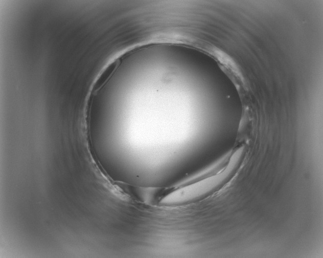 X0000071901192200607212008