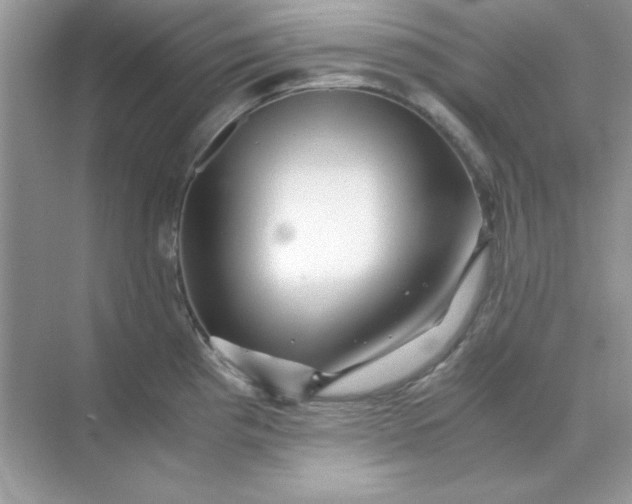 X0000071901193200607212008