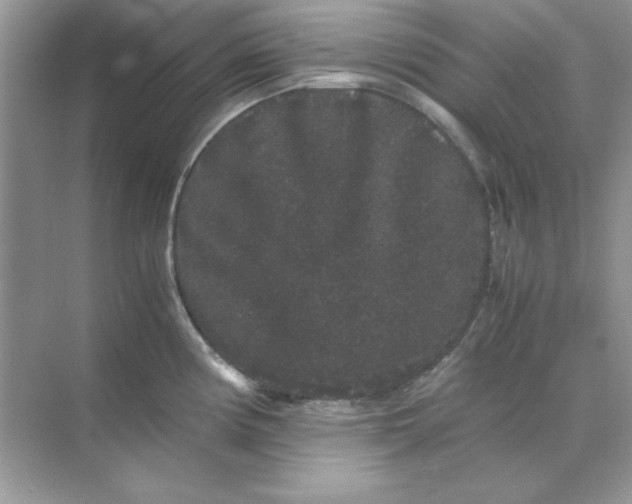 X0000071901194200607212008