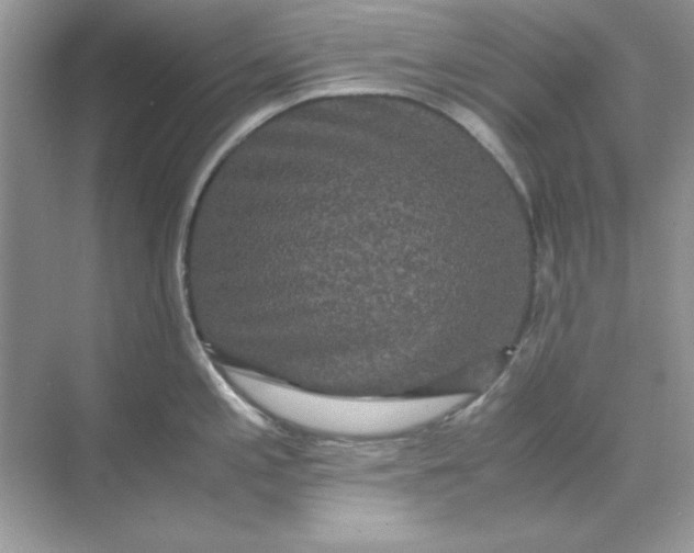 X0000071901197200607212008