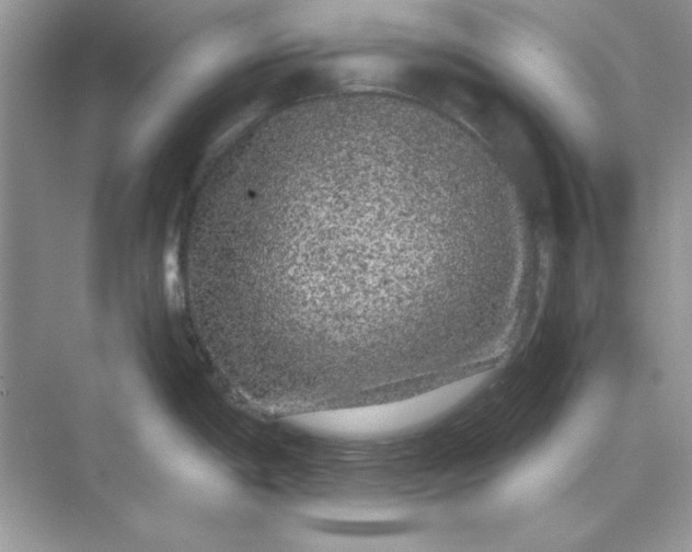 X0000071901198200607212008