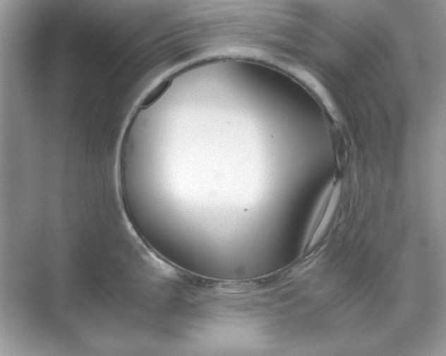 X0000071901199200607212008