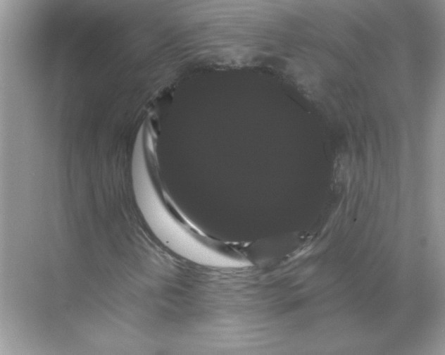 X0000071901202200607212007