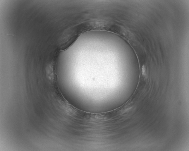 X0000071901203200607212007