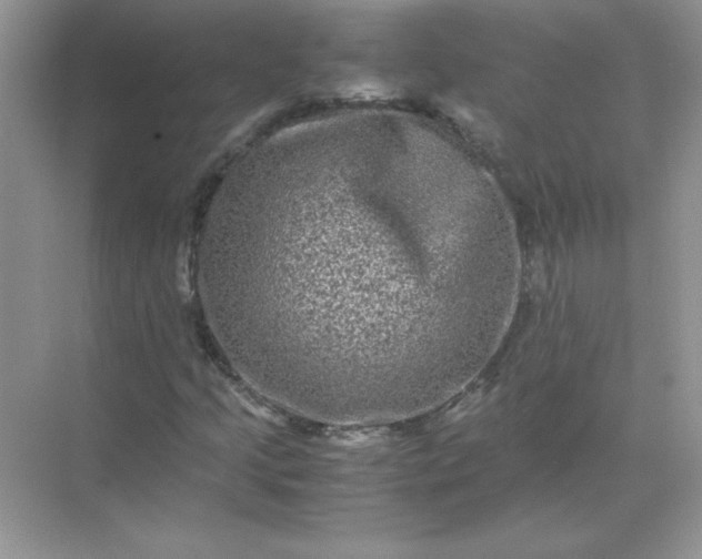 X0000071901205200607212007