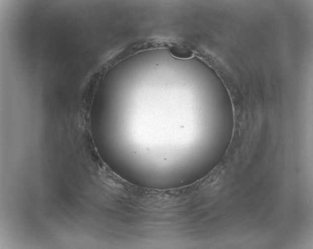 X0000071901207200607212007