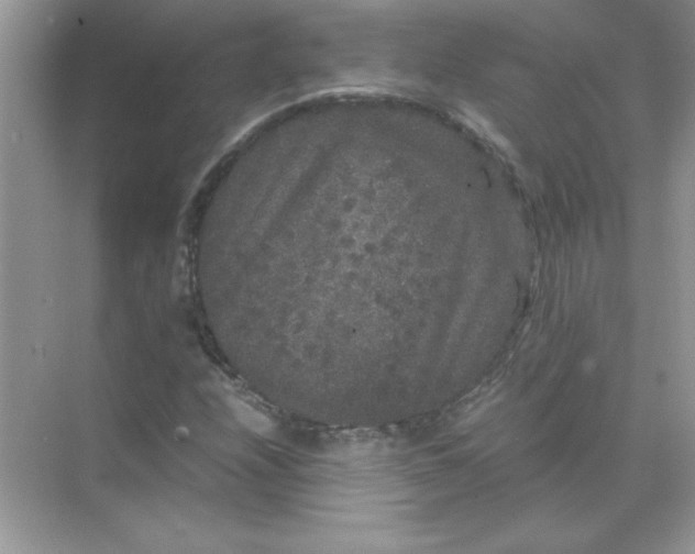 X0000071901208200607212007