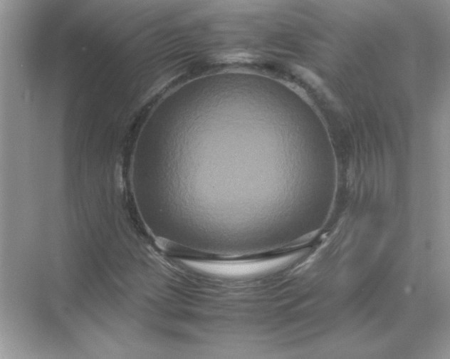 X0000071901209200607212007