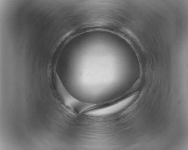 X0000071901210200607212007