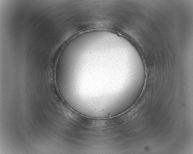 X0000071901211200607212007