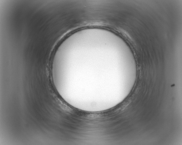 X0000071901212200607212007