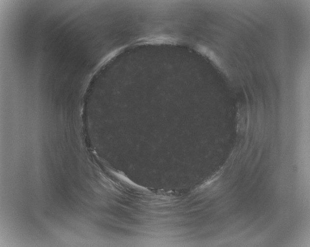 X0000071901213200607212007