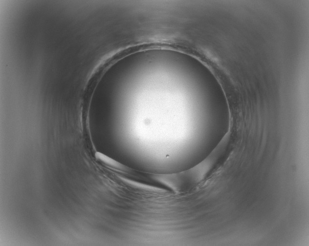 X0000071901214200607212007