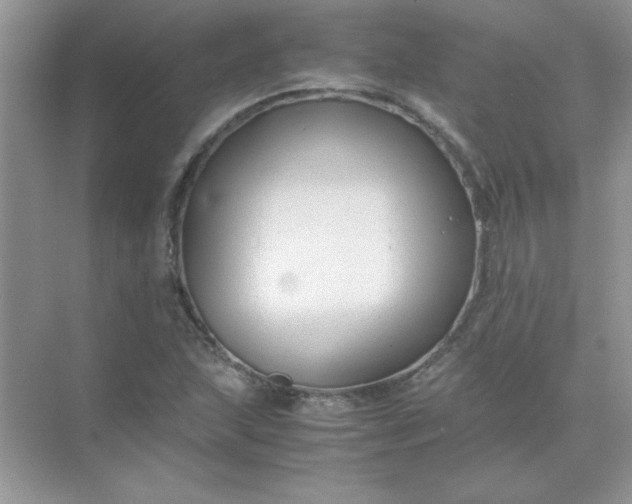 X0000071901215200607212007