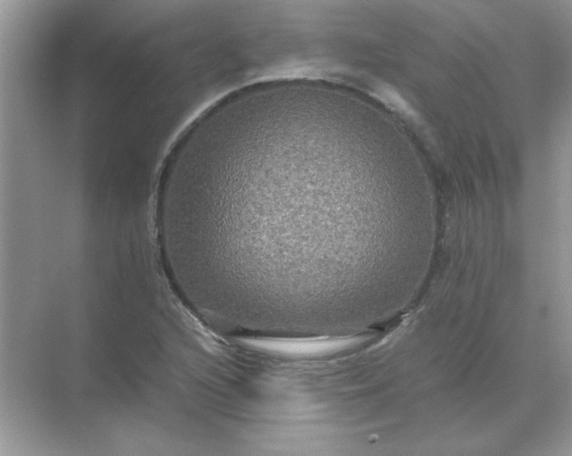 X0000071901216200607212007