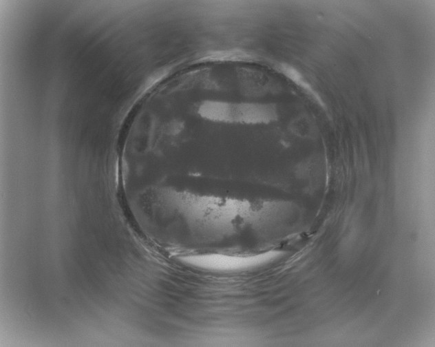 X0000071901221200607212008