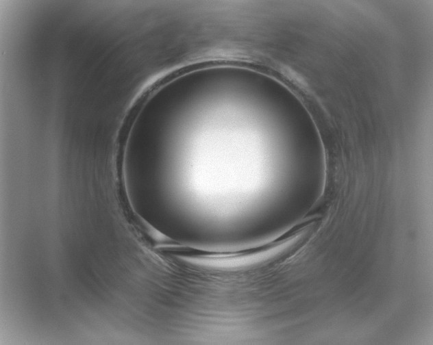 X0000071901222200607212008