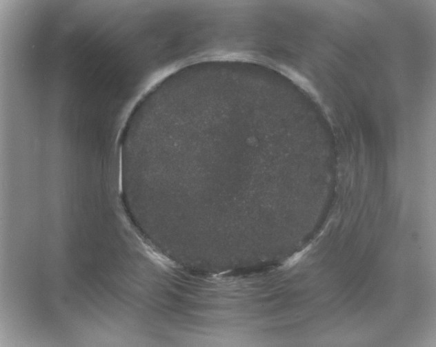 X0000071901223200607212008