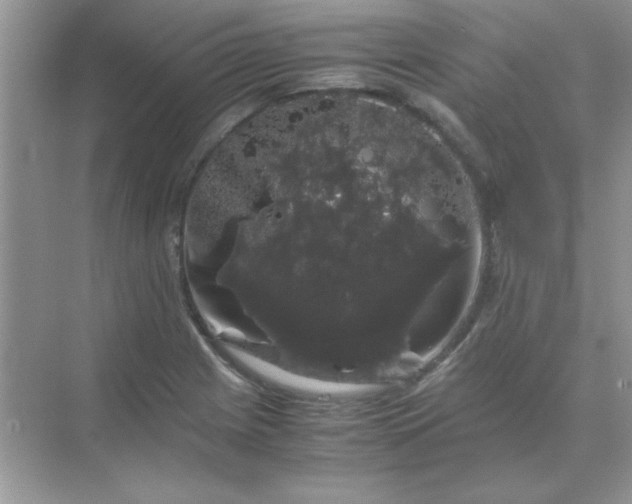 X0000071901225200607212008